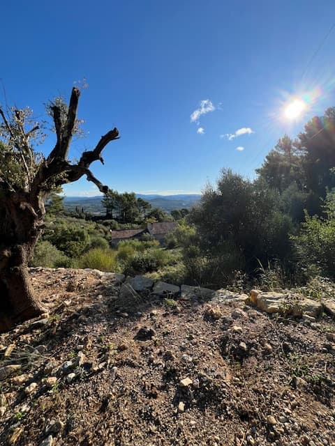 Terrain constructible de 2000m² 🌳 - 2000 - Solliès-Ville